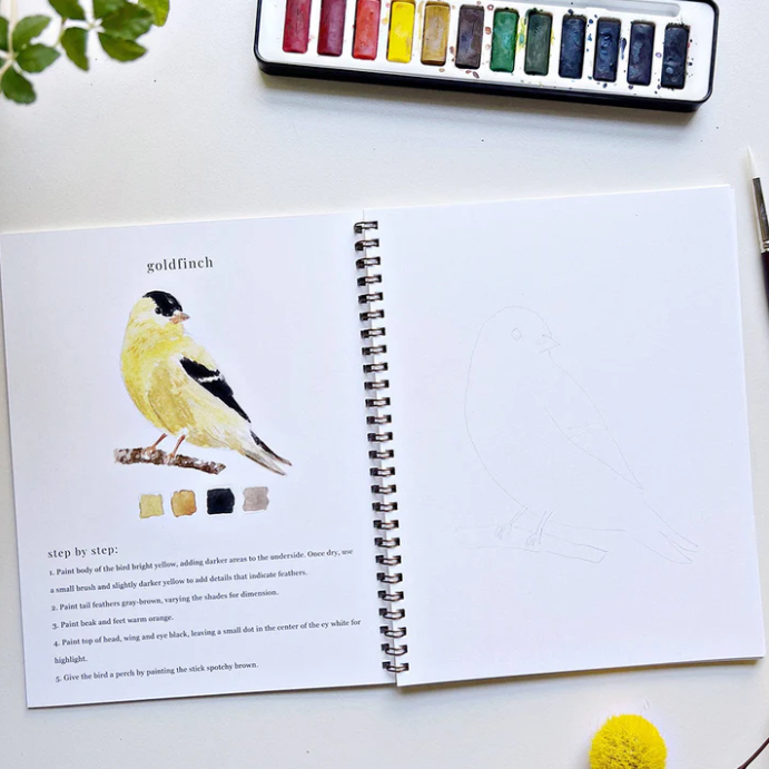Emily Lex Studio Watercolor Workbook, Birds